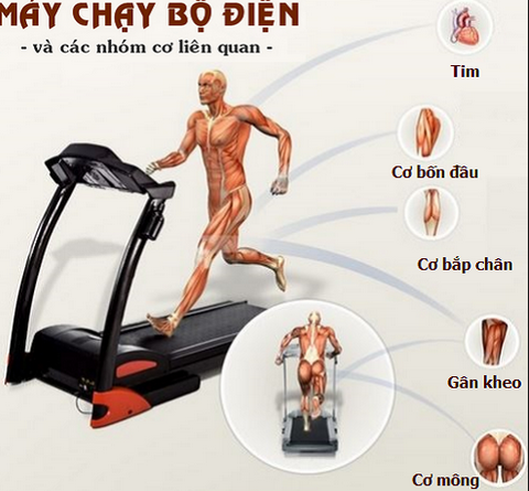 Bạn có biết ý nghĩa tính năng độ dốc máy chạy bộ điện