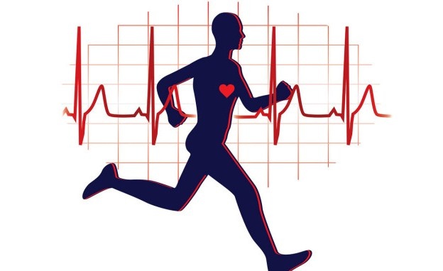 Gợi ý những môn thể thao tốt cho tim mạch