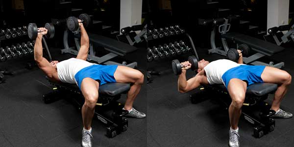 Hướng dẫn tập cơ ngực với tạ đơn đơn giản mà hiệu quả