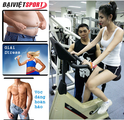 Tập gym là gì ?