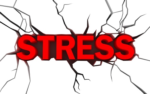  Tập luyện với máy tập xe đạp tại nhà giúp giảm stress hiệu 