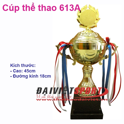 Cúp thể thao 613A