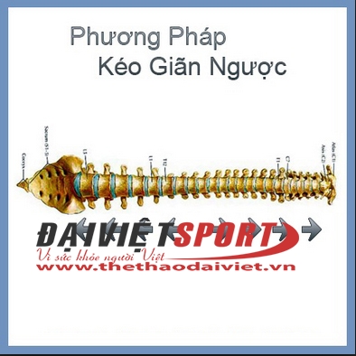 Máy Tập Tăng Chiều Cao HJ002