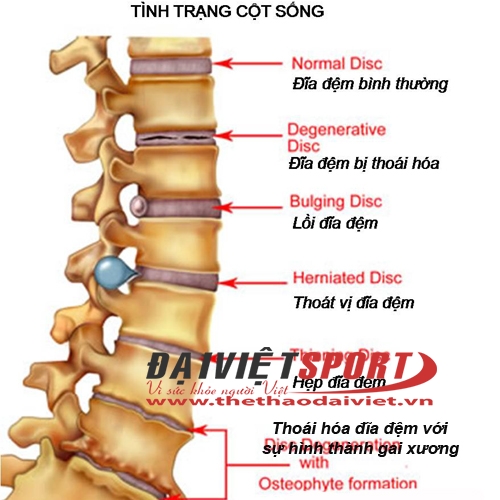 Máy Tập Tăng Chiều Cao HJ002