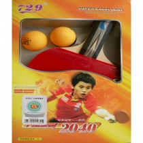 Vợt bóng bàn 729 - 2040