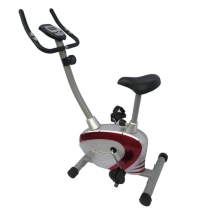 Xe đạp tập thể dục Royal 549C