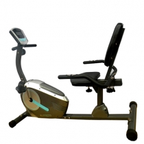 Xe đạp tập thể dục Royal 551D