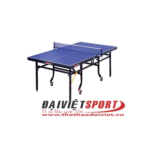 Bàn bóng bàn DHS 2024