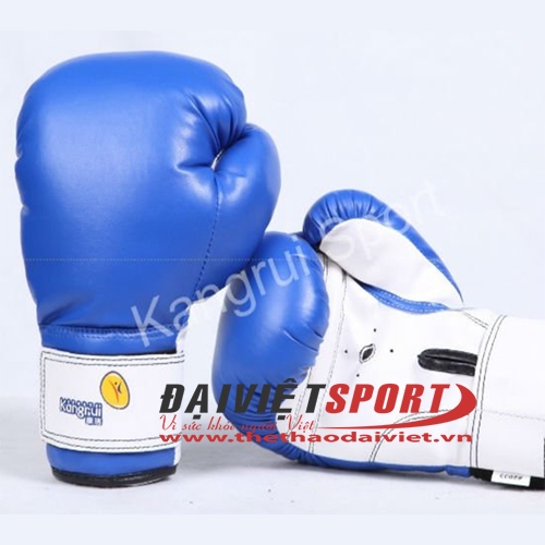 Găng tay Boxing Kangrui 2033