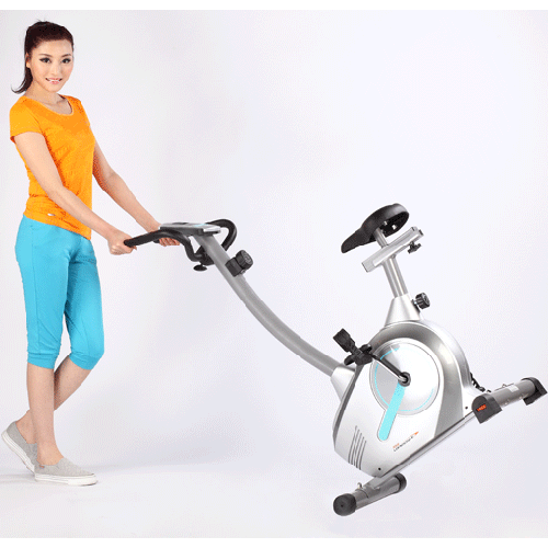 Xe đạp tập thể dục Royal 551C