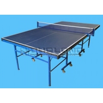 Bàn bóng bàn Đức Long PT-05