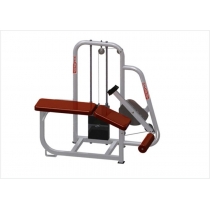 Máy Móc Đùi Sau Tạ Khối (606503)