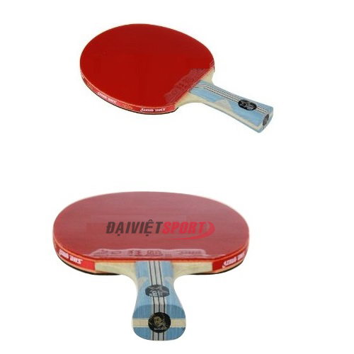 Vợt bóng bàn mút DHS 6002