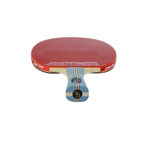 Vợt bóng bàn mút DHS 6002