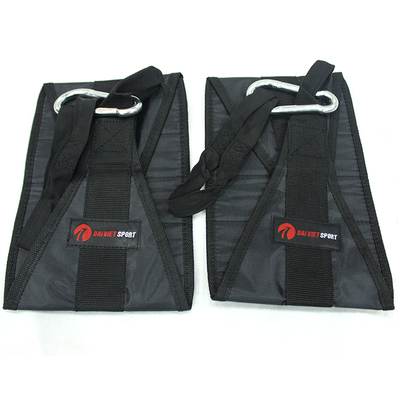 Dây treo tập bụng AB TRAPS Đại Việt AB061