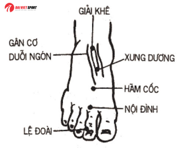 cach-bam-huyet-ban-chan-mang-lai-hieu-qua-bat-ngo