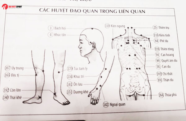 cach-bam-huyet-chua-chung-ban-than-bat-toai-hieu-qua