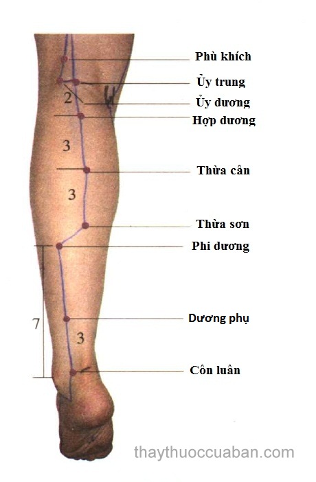 cach-bam-huyet-dau-goi-giam-dau-7