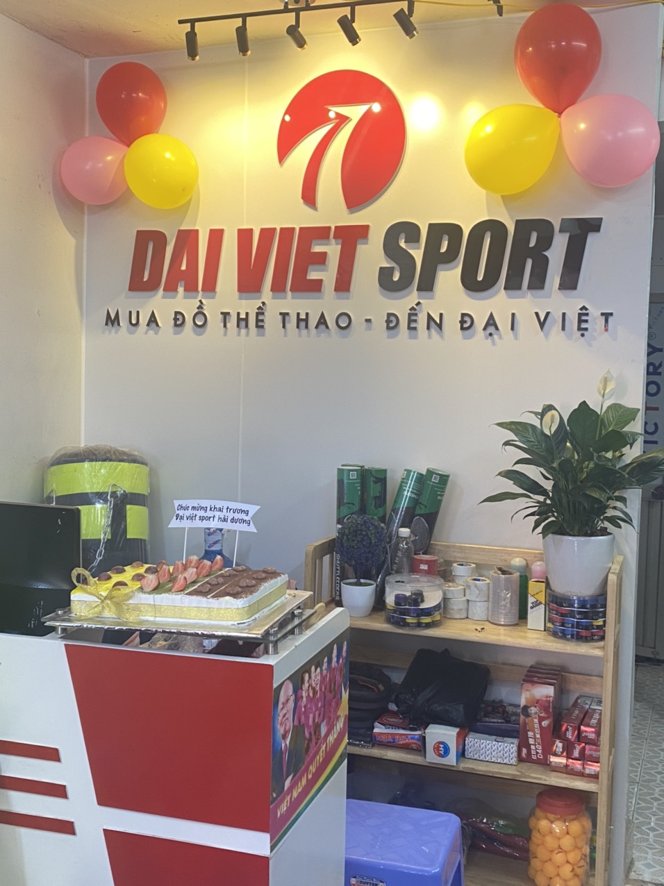   đại Việt sport