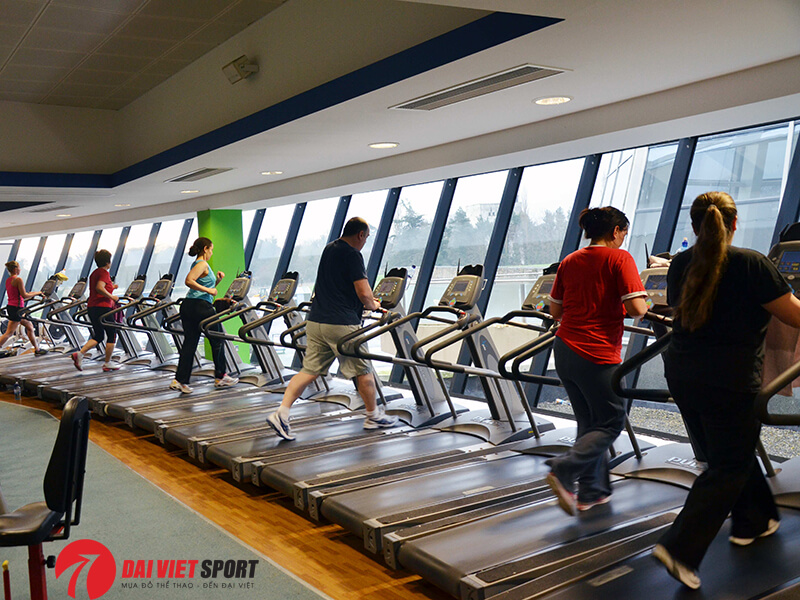 Daiviet Sport – Địa chỉ chuyên cung cấp, phân phối các thiết bị phòng Gym