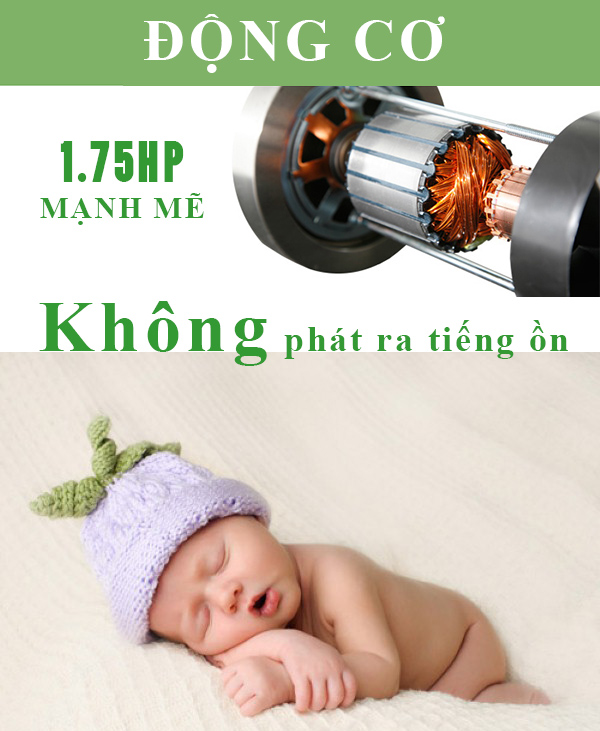 động cơ may chay bo điện Đại Việt DV-1351