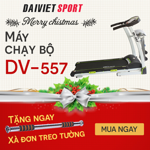 DV-557 noel 2016