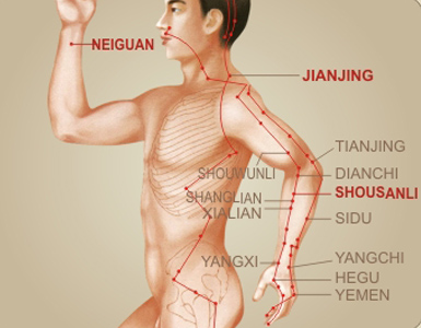 Ghế Massage Toàn Thân Tokuyo SC-555