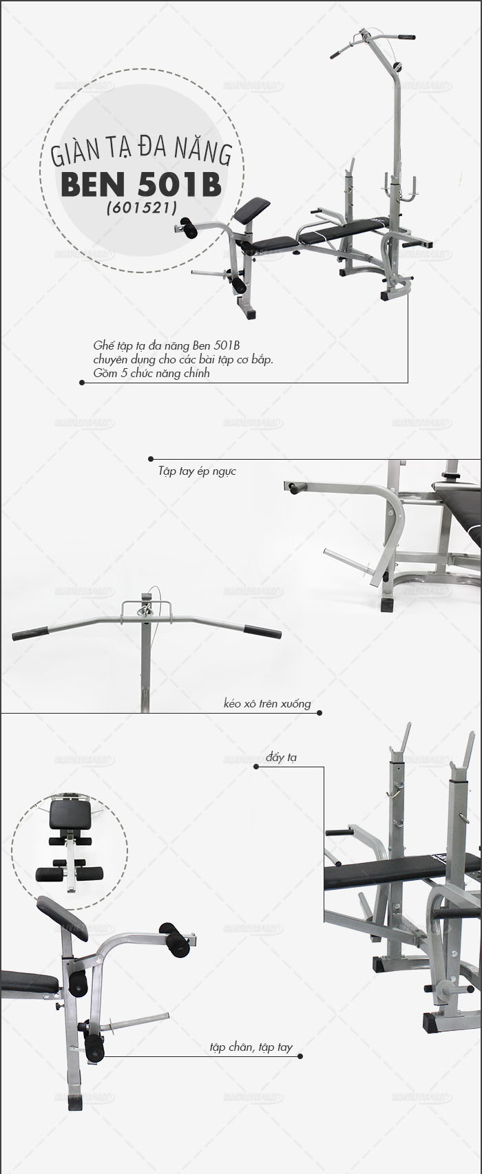 Ghế tập tạ đa năng Ben 501B