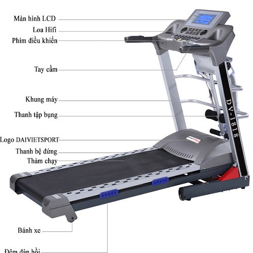 https://www.thethaodaiviet.vn/