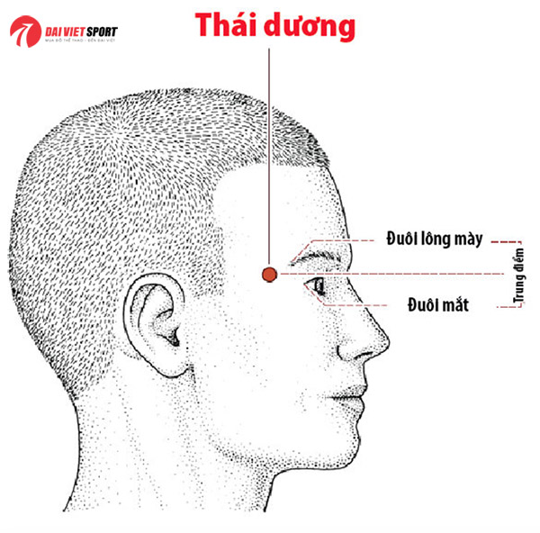 huong-dan-cach-bam-huyet-chua-mat-ngu-don-gian-hieu-qua