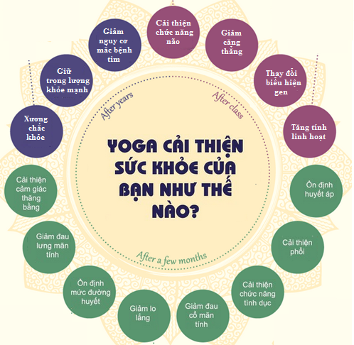 Lợi ích của việc tập yoga