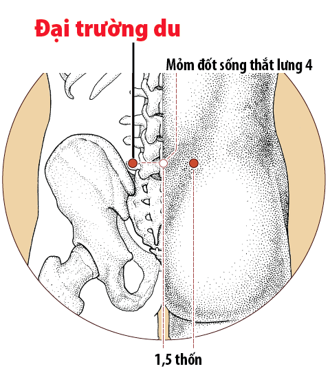 massage-huyet-dai-truong-du