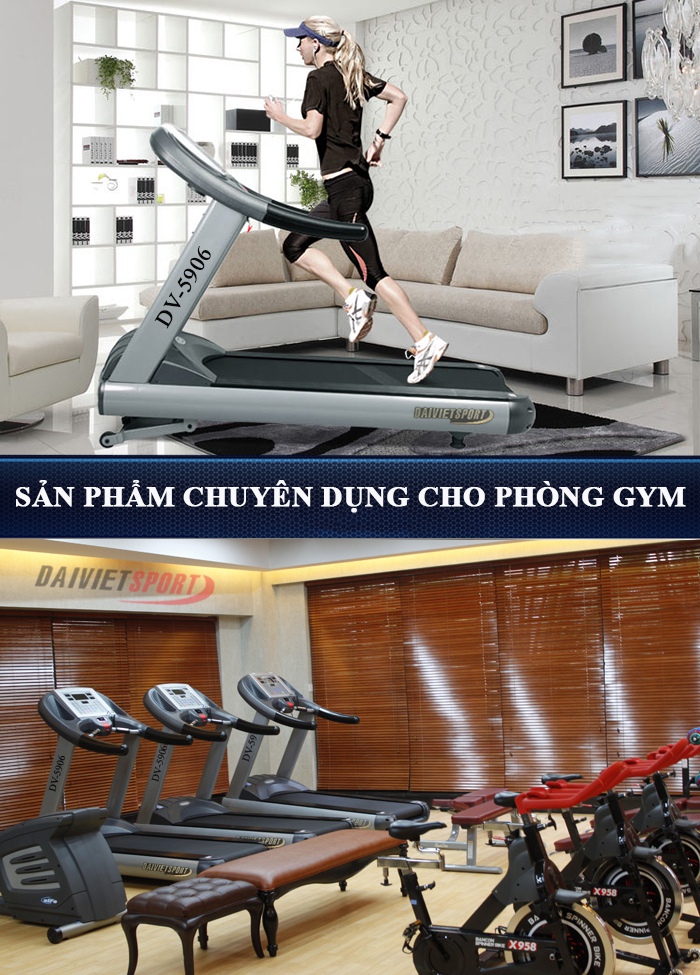 may chay bo dien điện Đại Việt DV-5906 