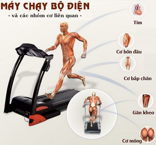 tập luyện với máy chạy bộ