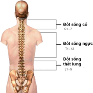 tập xà đơn chữa thoát vị đĩa đệm