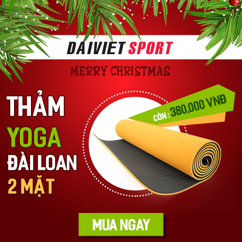 Tham-yoga-5-ly-2-mat-noel 2016