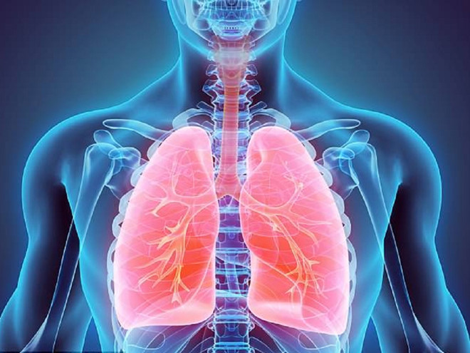Top những nguyên nhân gây bệnh lao phổi hiện nay?3