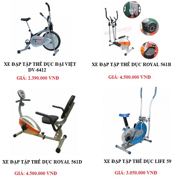 Xe đạp tập thể dục giá rẻ tại Đại Việt Sport