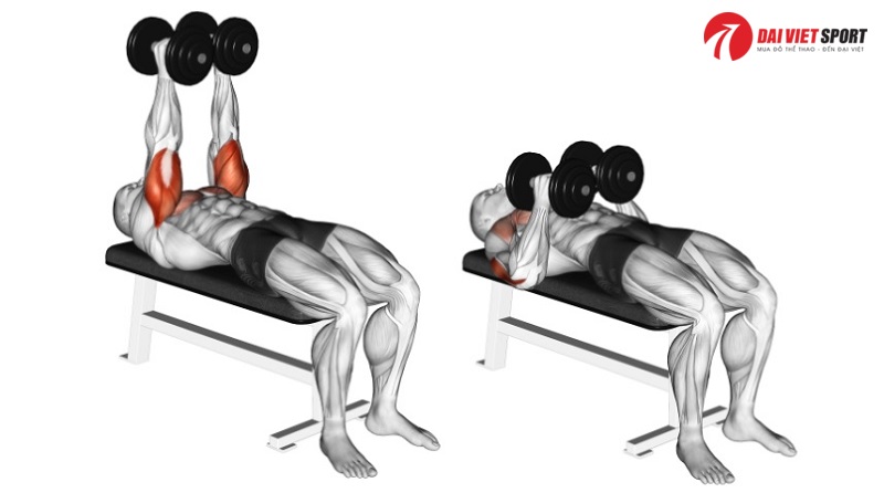 Bài tập Close-grip dumbbell press