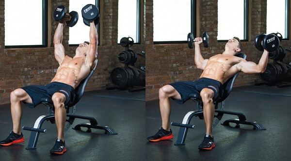 Incline chest fly và Decline chest fly