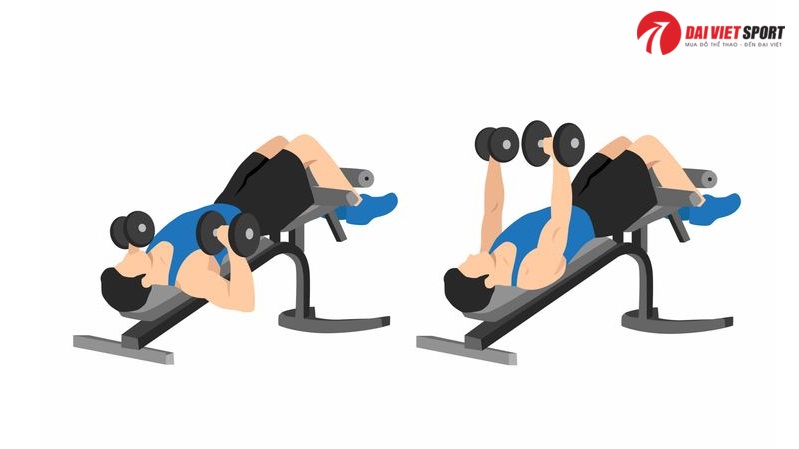 Bài tập Decline dumbbell bench press