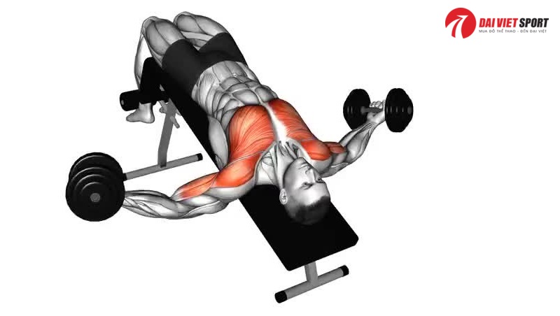Bài tập Decline dumbbell flyes