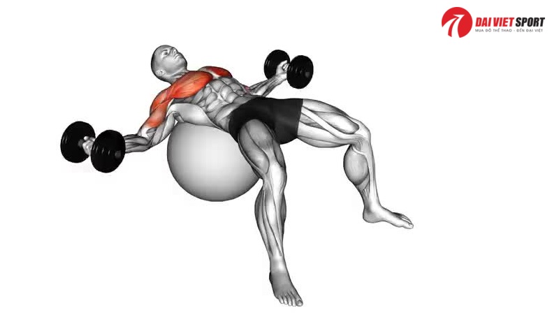 Bài tập Decline dumbbell flyes