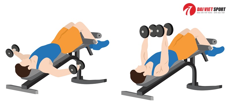 Bài tập Decline dumbbell flyes