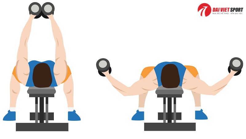 Bài tập Dumbbell chest Flyes