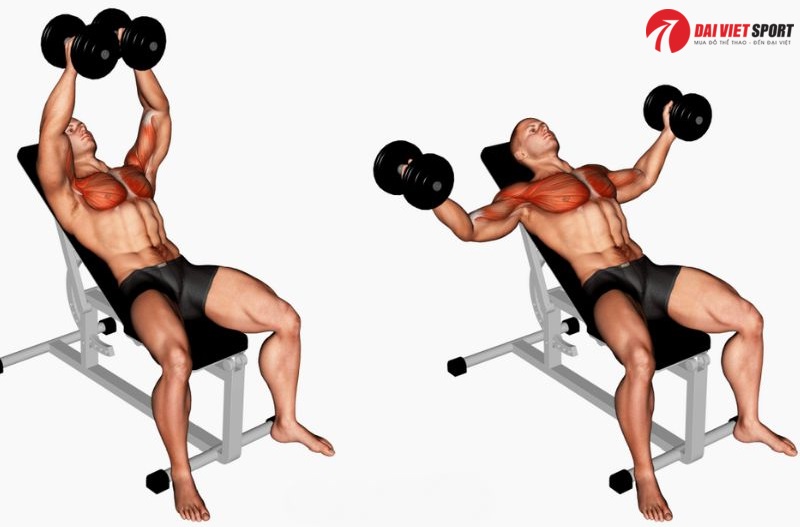 Bài tập Dumbbell chest Flyes
