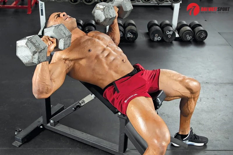 Bài tập Incline dumbbell bench press