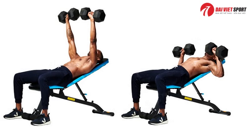 Bài tập Incline dumbbell bench press