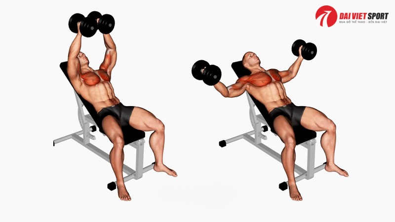 Bài tập Incline dumbbell fly