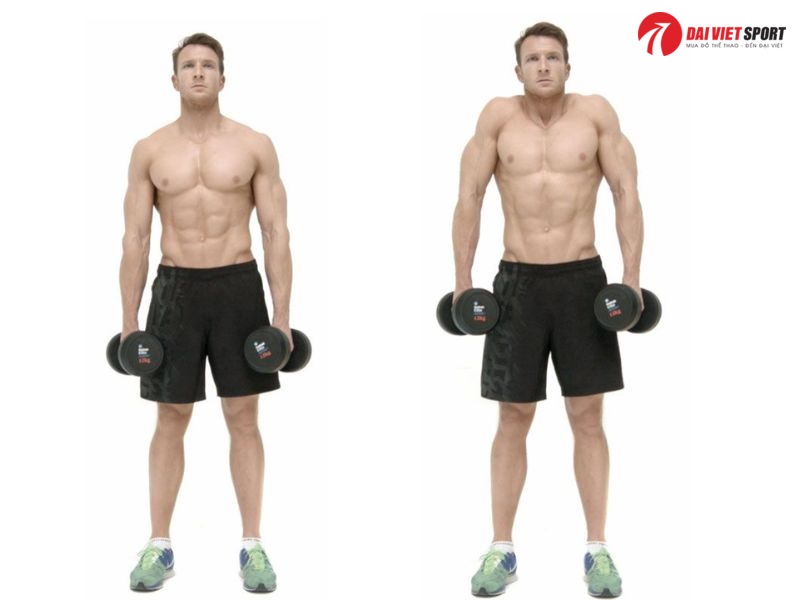 Bài tập Shoulder shrug